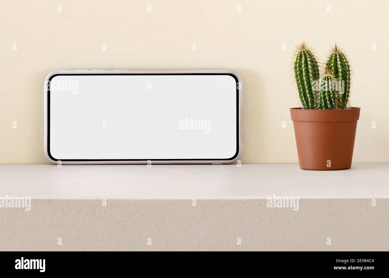Telefono cellulare moderno con schermo bianco posto vicino in vaso pianta di cactus su scaffale contro parete leggera Foto Stock