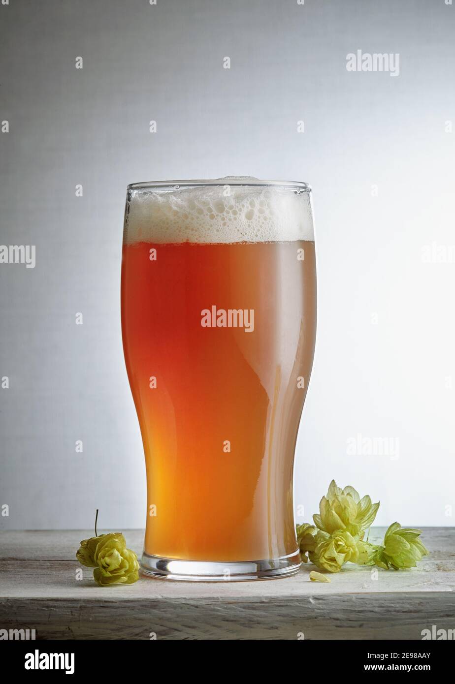 Birra. Birra artigianale leggera e fredda in un bicchiere. Intorno al luppolo. Primo piano con una pinta di birra Foto Stock