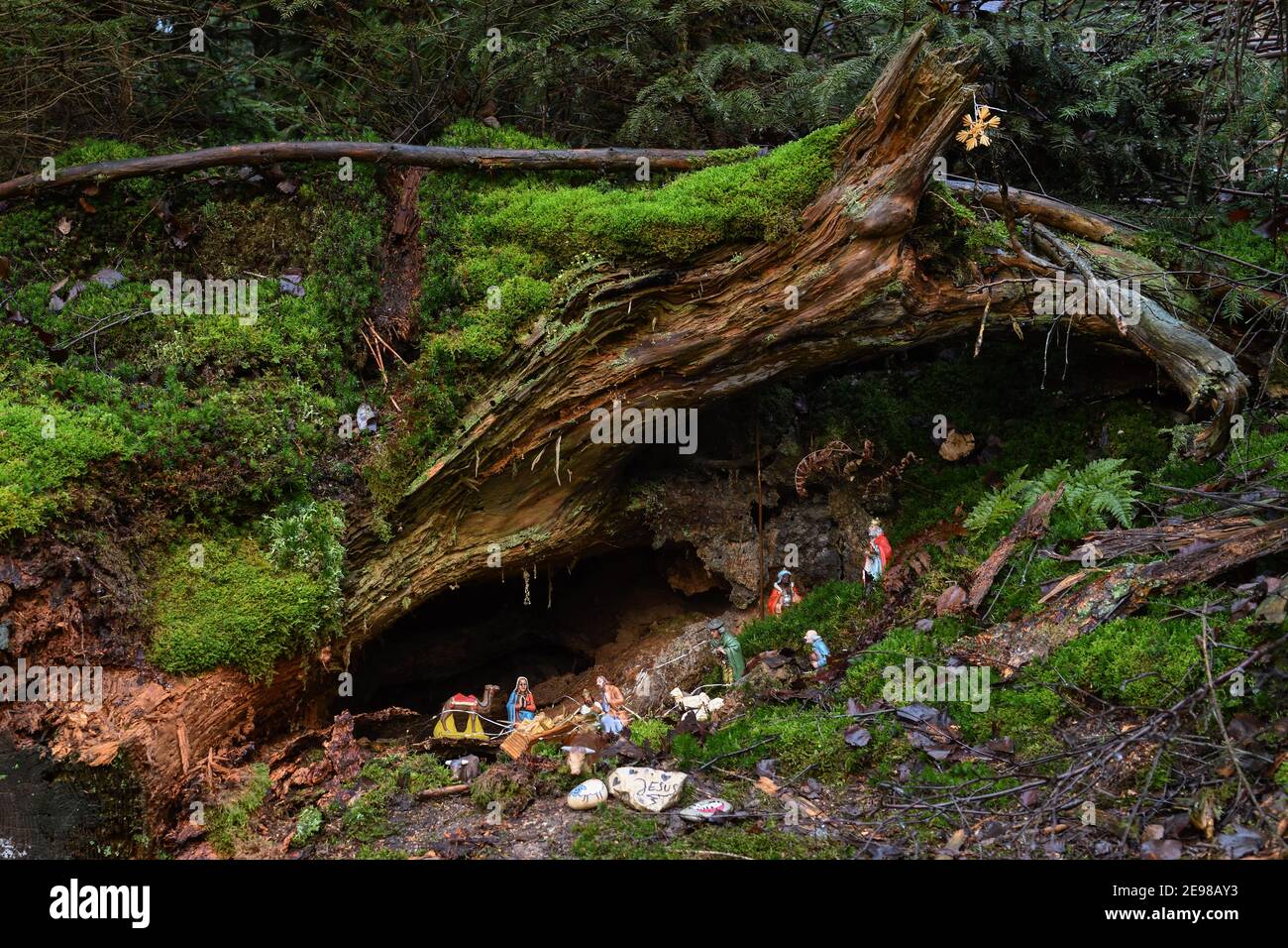 Presepe di Natale in ambiente naturale di una foresta selvaggia in qualche parte in Europa. Foto Stock