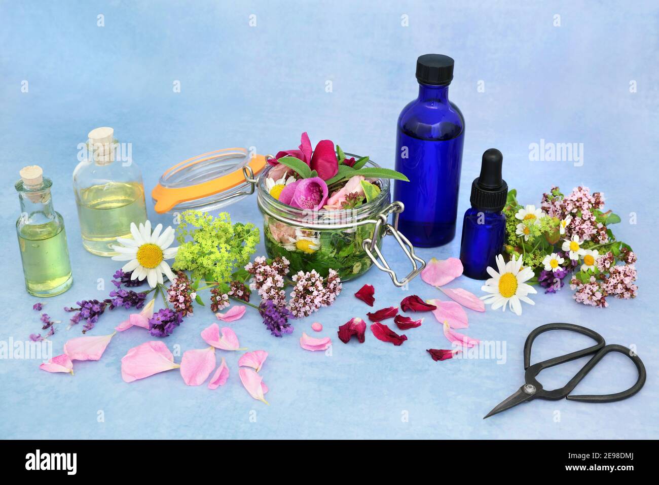 Aromaterapia naturale preparazione di olio essenziale con erbe e fiori per l'infusione negli oli. Ancora vita su sfondo blu e chiazzato. Concetto di assistenza sanitaria. Foto Stock