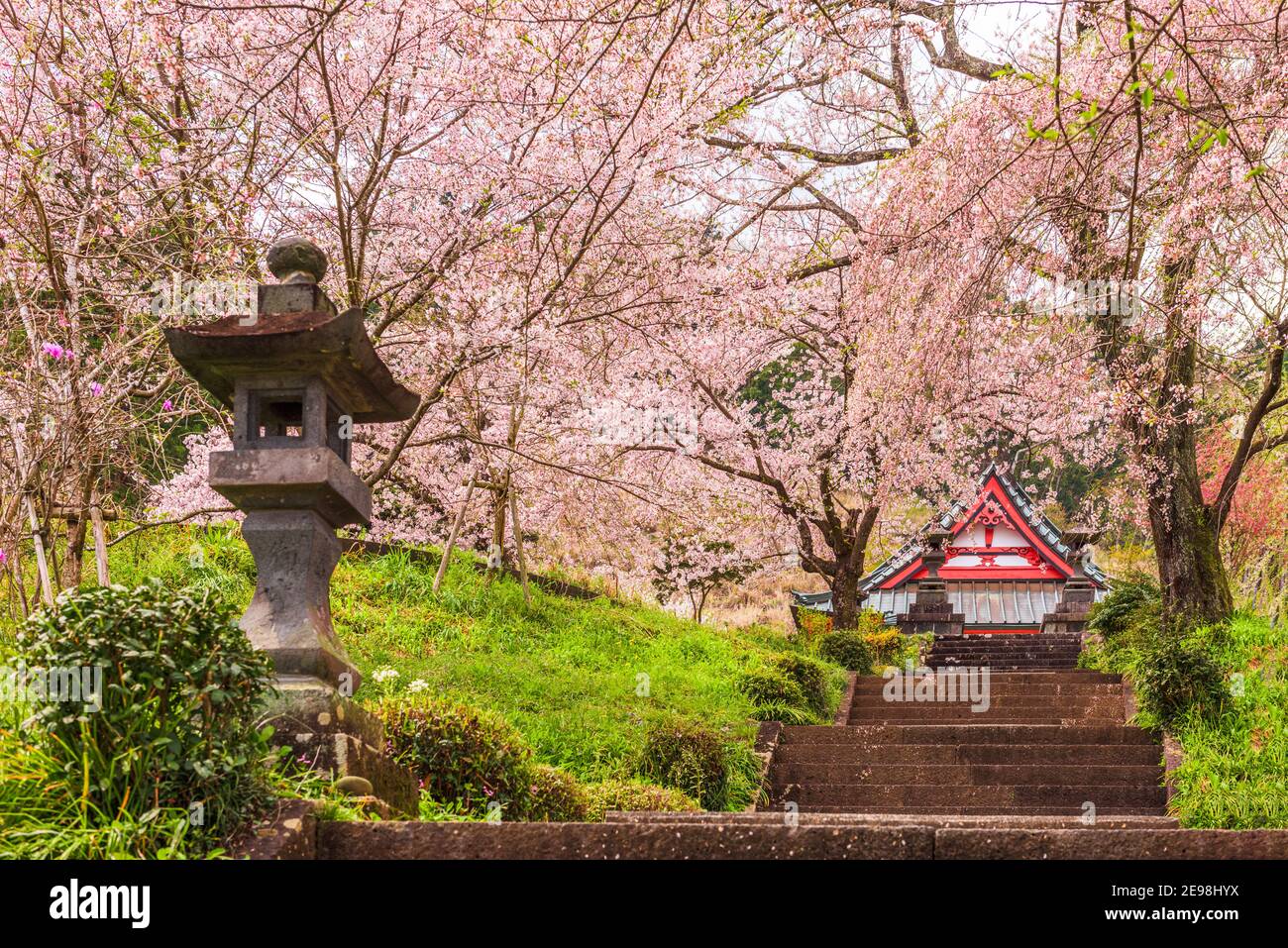 Tempio Kotokuji, Shizuoka, Giappone in primavera. Foto Stock