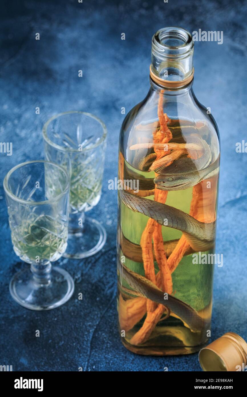 Vodka vietnamita con serpente e radice di ginseng. Serpente all'interno di  una bottiglia di vino di riso un rimedio medico in Vietnam. Spirito  medicato. Bevanda alcolica al serpente Foto stock - Alamy
