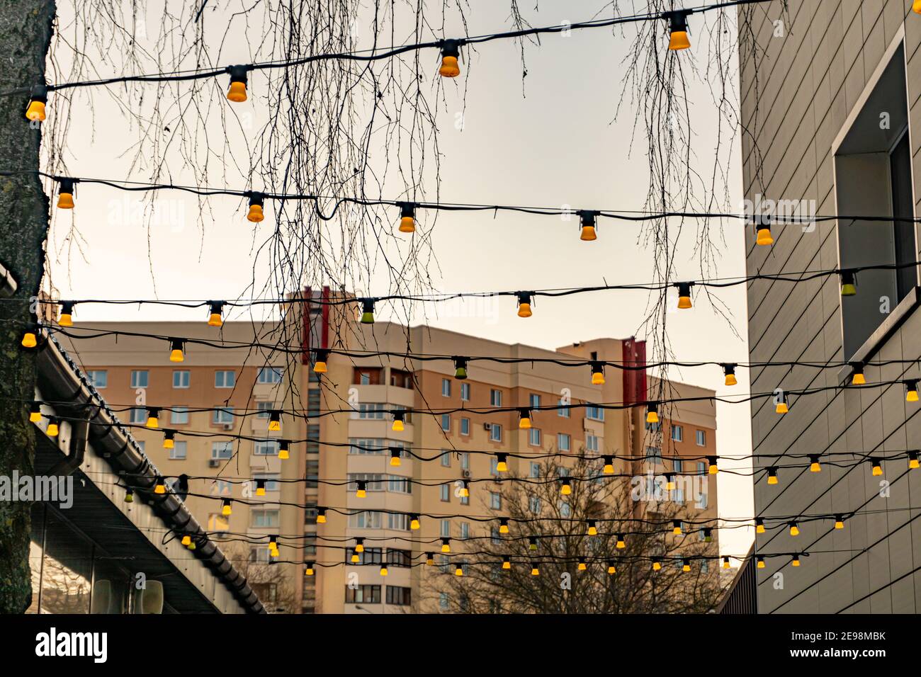 Vista dal basso delle corone degli alberi e delle lampadine gialle Foto Stock