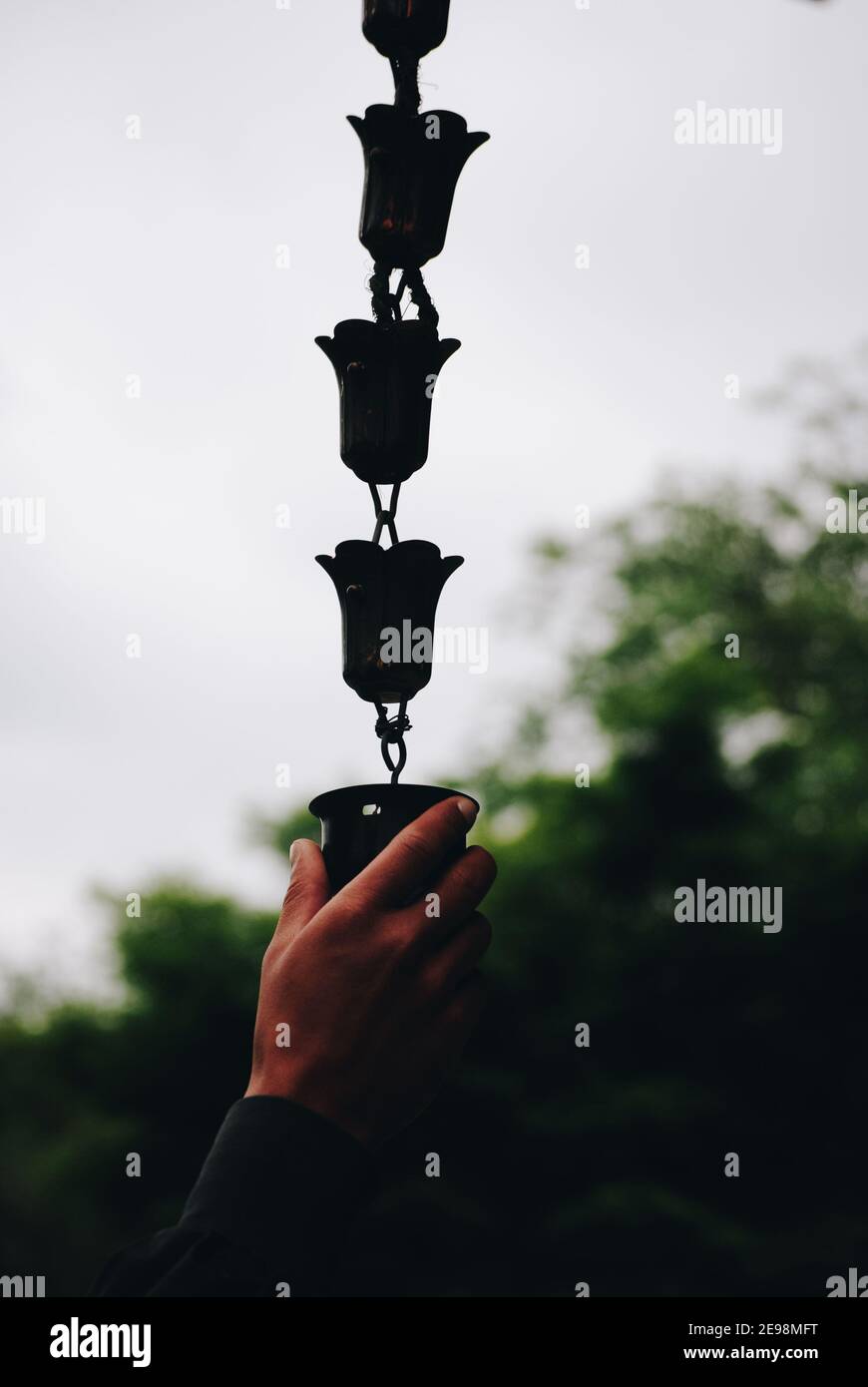 Catena di pioggia giapponese Foto Stock