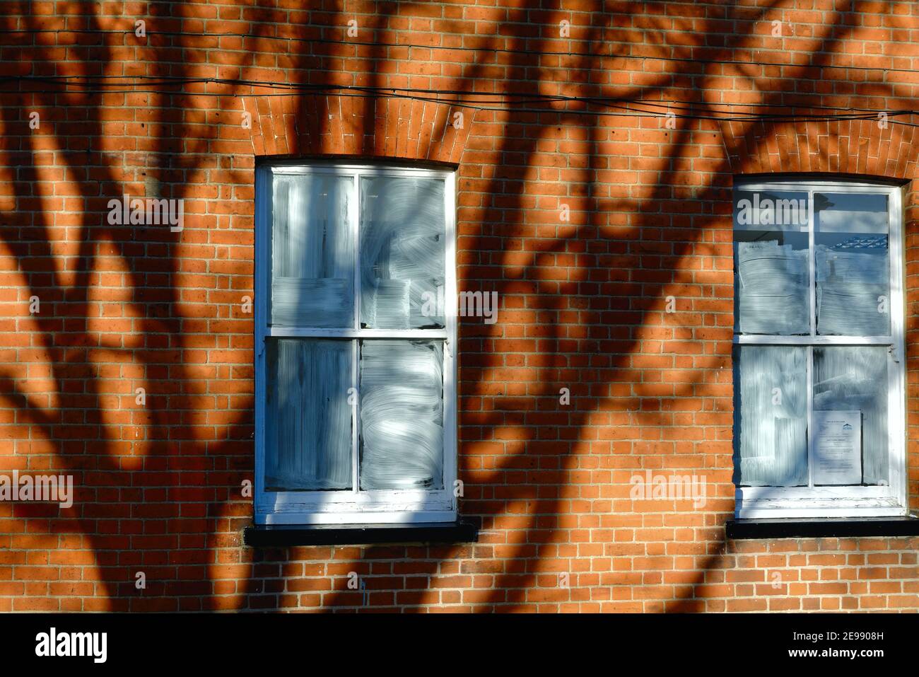Modelli astratti e forme causate dalle forti ombre di un albero gettato su un muro di mattoni rossi con due finestre vuote Foto Stock