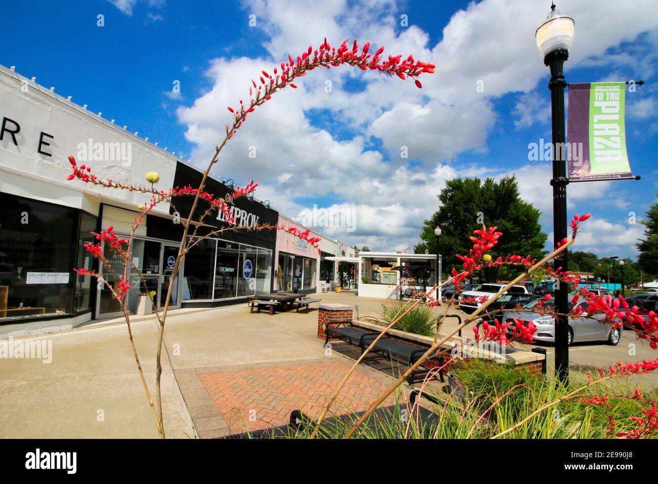 Guardando attraverso una pianta di yucca rossa lungo il marciapiede lungo il quartiere 16th Street Plaza di Oklahoma City. Foto Stock