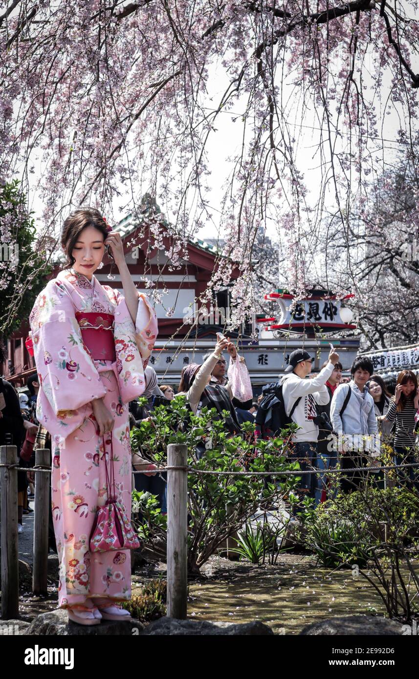 Questa serie di foto vuole enfatizzare i diversi scenari in Giappone durante una vacanza di due settimane attraverso l'isola più grande, Honshu. Foto Stock