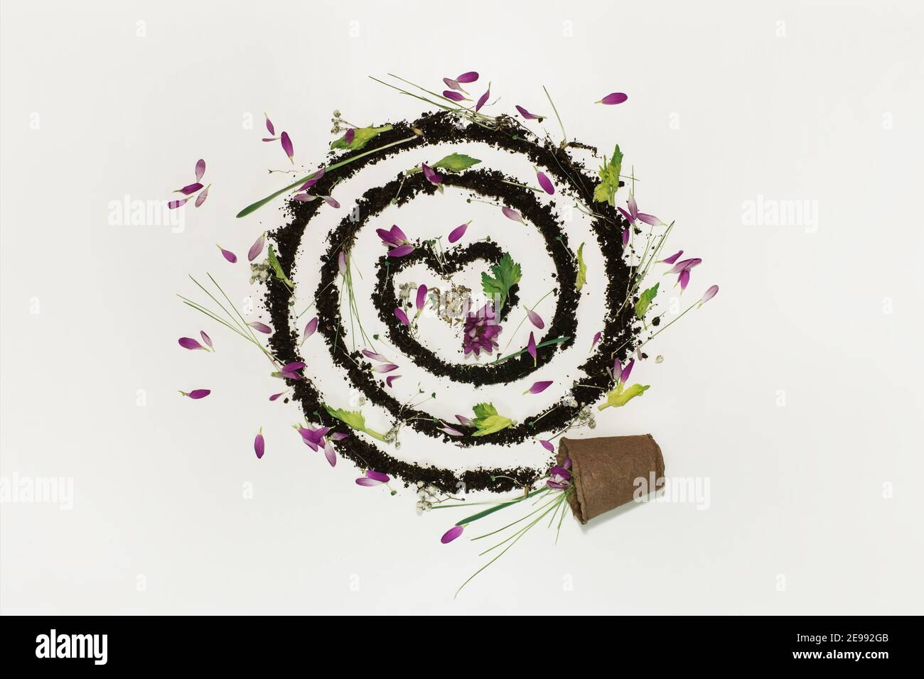 Il concetto di piantare primavera di fiori. Spirale di suolo e piante Foto Stock