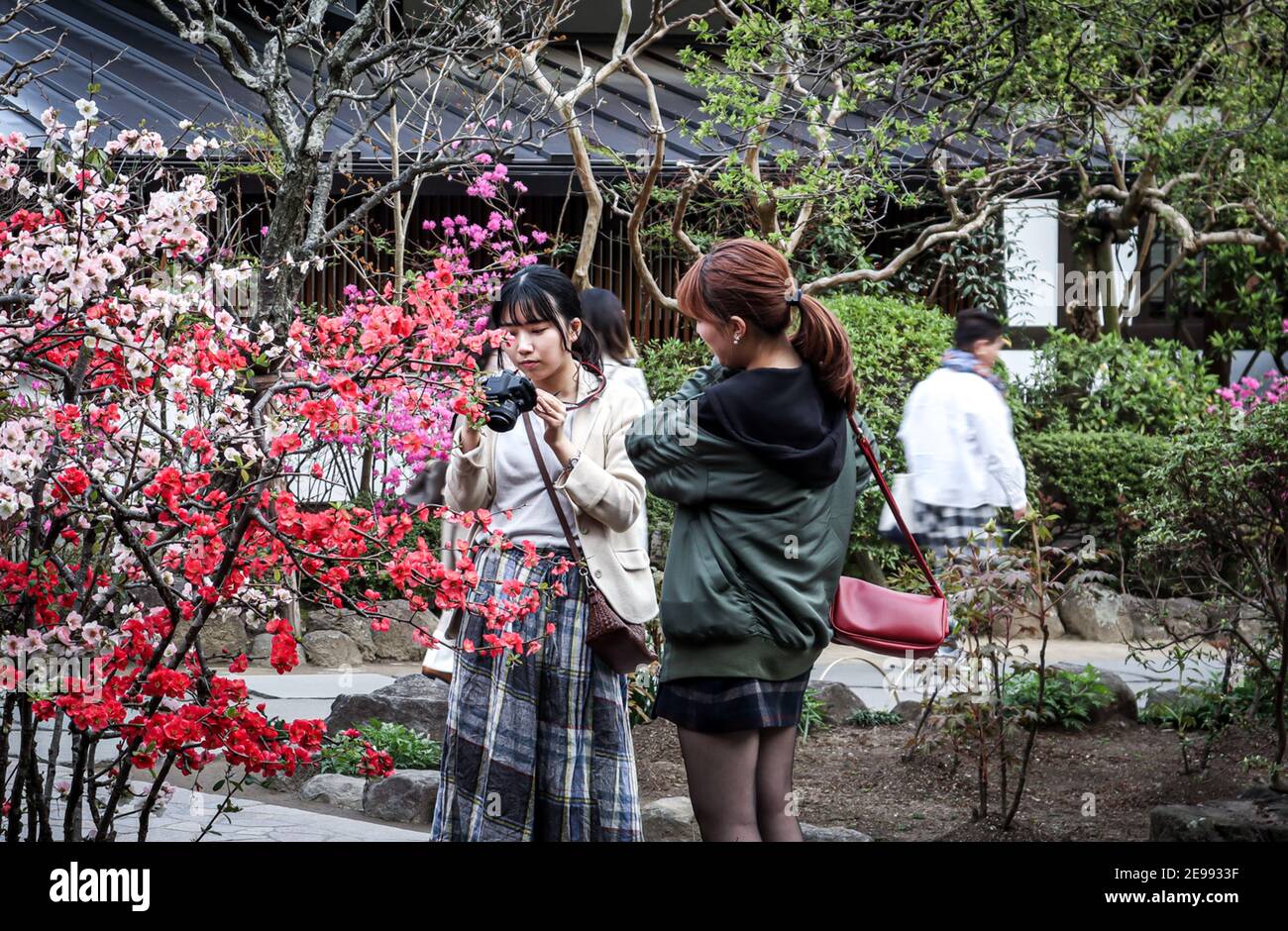 Questa serie di foto vuole enfatizzare i diversi scenari in Giappone durante una vacanza di due settimane attraverso l'isola più grande, Honshu. Foto Stock