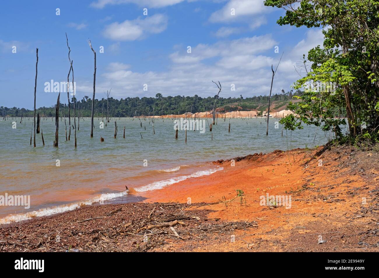 Alberi morti nel bacino idrico di Brokopondo / Brokopondostuwmeer, lago artificiale creato dalla costruzione della diga di Afobaka attraverso il fiume Suriname Foto Stock