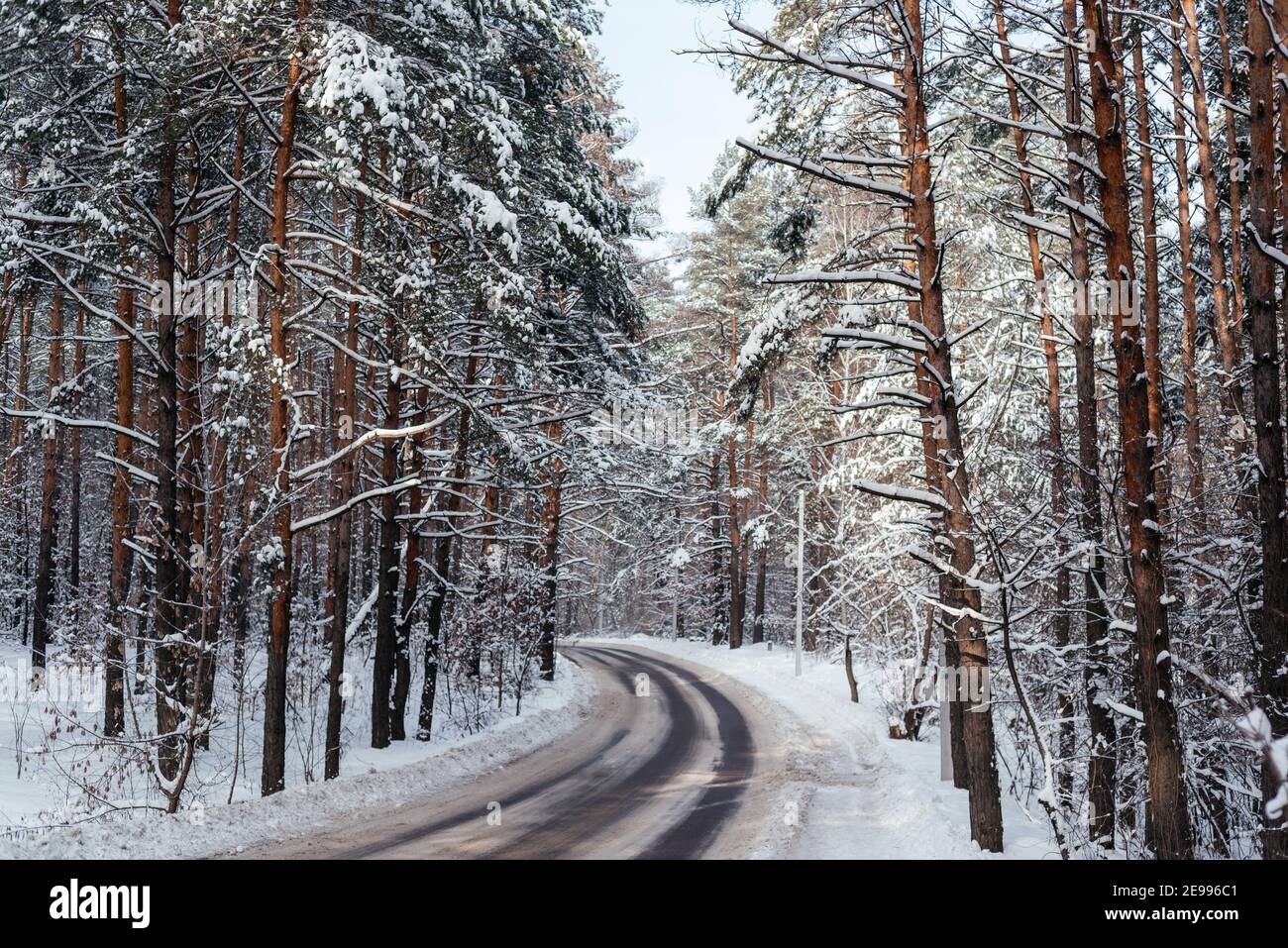 Strada invernale attraverso la foresta innevata, splendido sfondo invernale Foto Stock