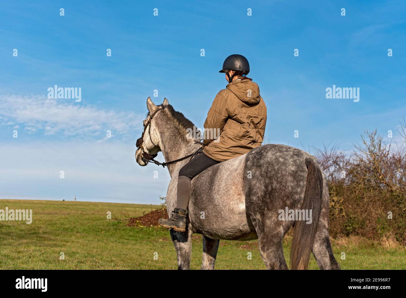Giovane donna cavalca senza bareback su purosangue ceco warmblood cavallo in i campi Foto Stock