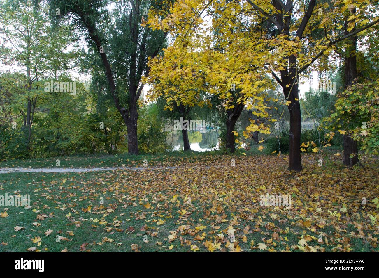 Bella vista autunnale nei parchi di Chisinau. È un'immagine molto bella. Foto Stock