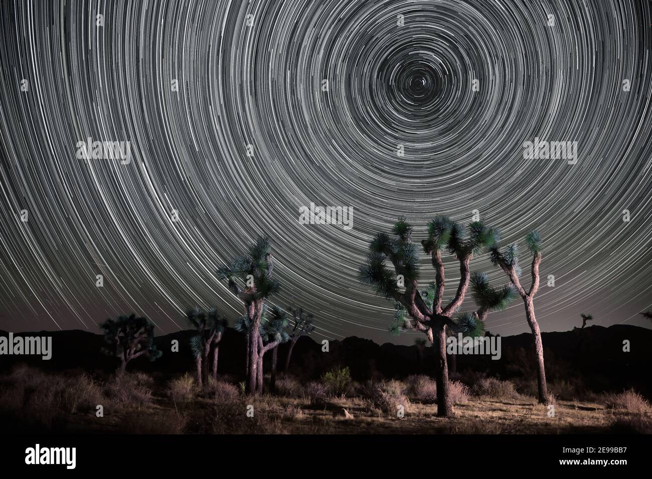Campeggio di notte con Star Trails in Joahua Tree National Parcheggio Foto Stock