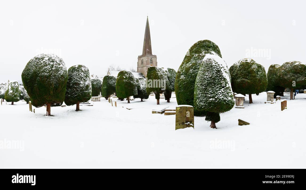 I famosi alberi di Yew alla chiesa di St Mary a Painswick. Il Cotswolds. Gloucestershire, Inghilterra, Regno Unito. Foto Stock