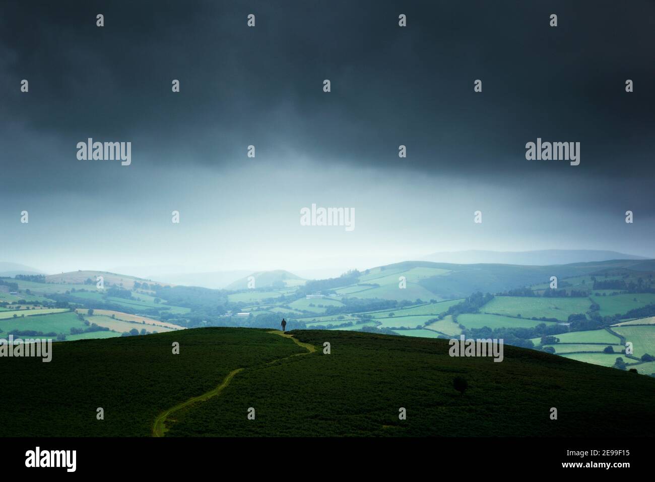 Vista da Offa's Dyke percorso su Hergest Ridge. Herefordshire. Regno Unito. Foto Stock