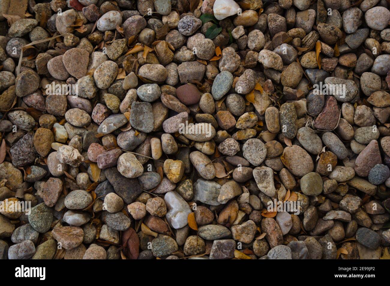 Una macro foto in alto di un letto di ghiaia pieno di rocce di fiume arrotondate. Foto Stock