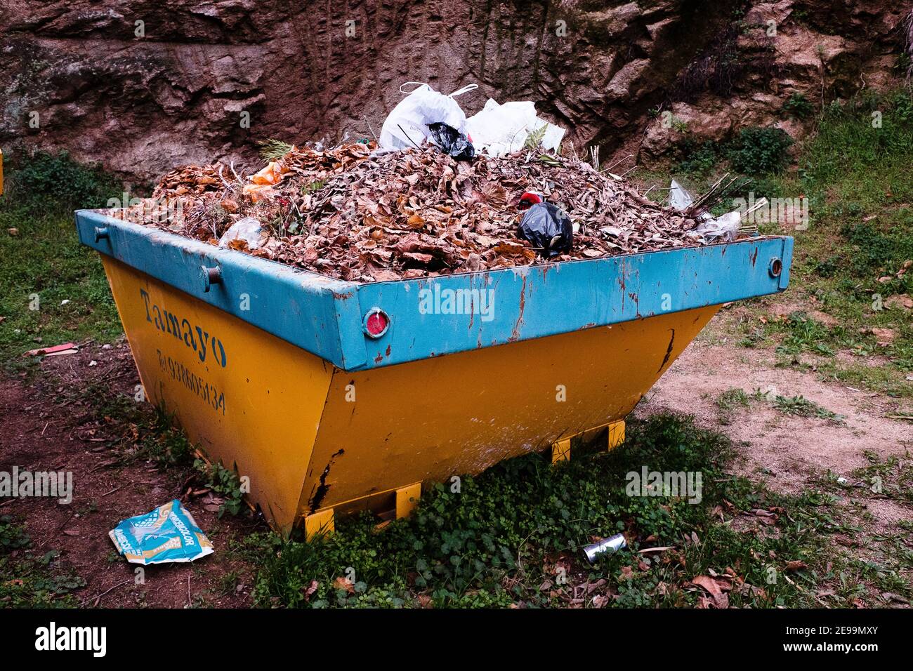 Un salto giallo pieno di foglie morte. Foto Stock