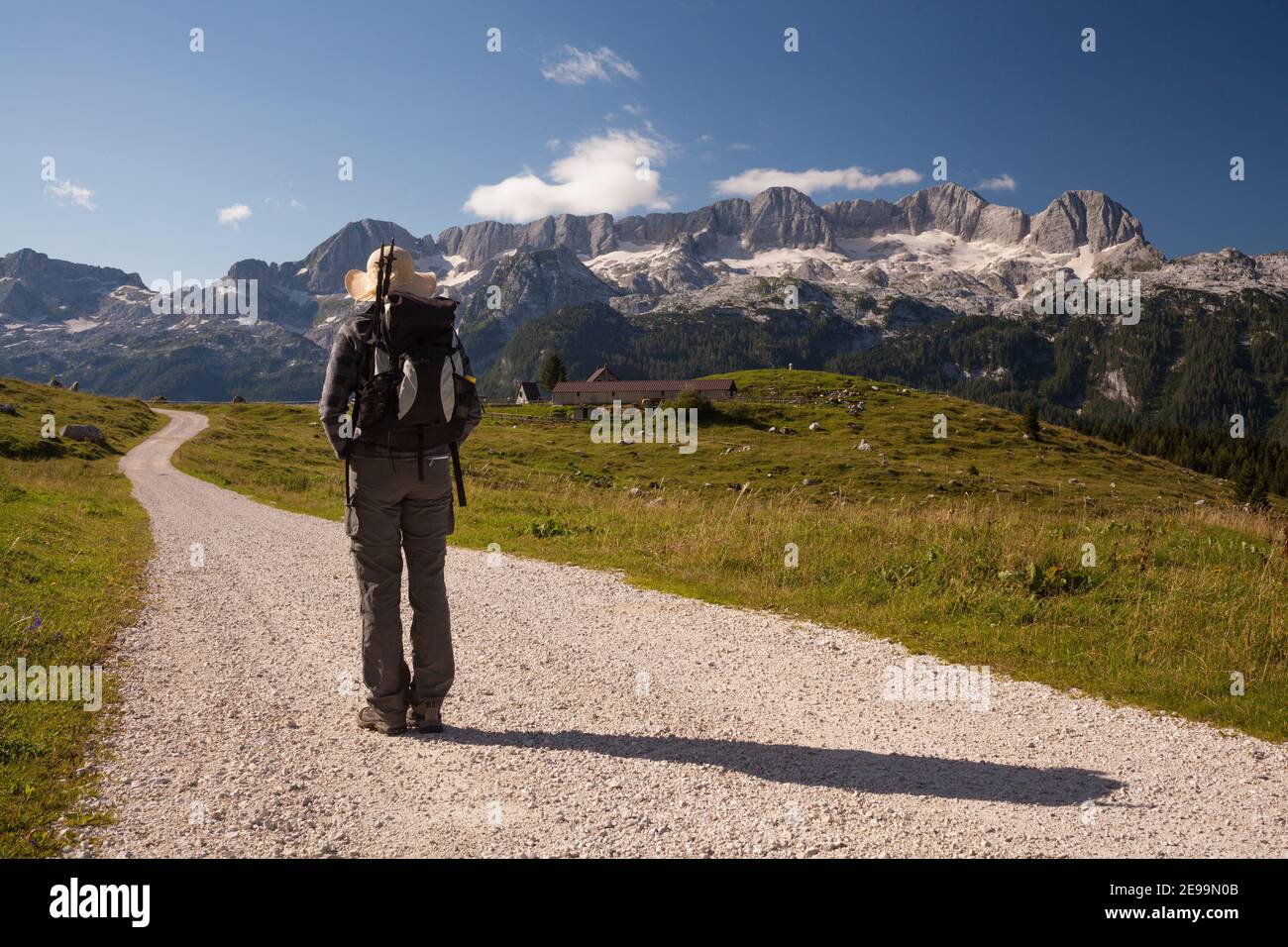 Strada sterrata nelle Alpi con vista montagna di Canin in lontananza e pascoli verdi con fienile al centro. Foto Stock