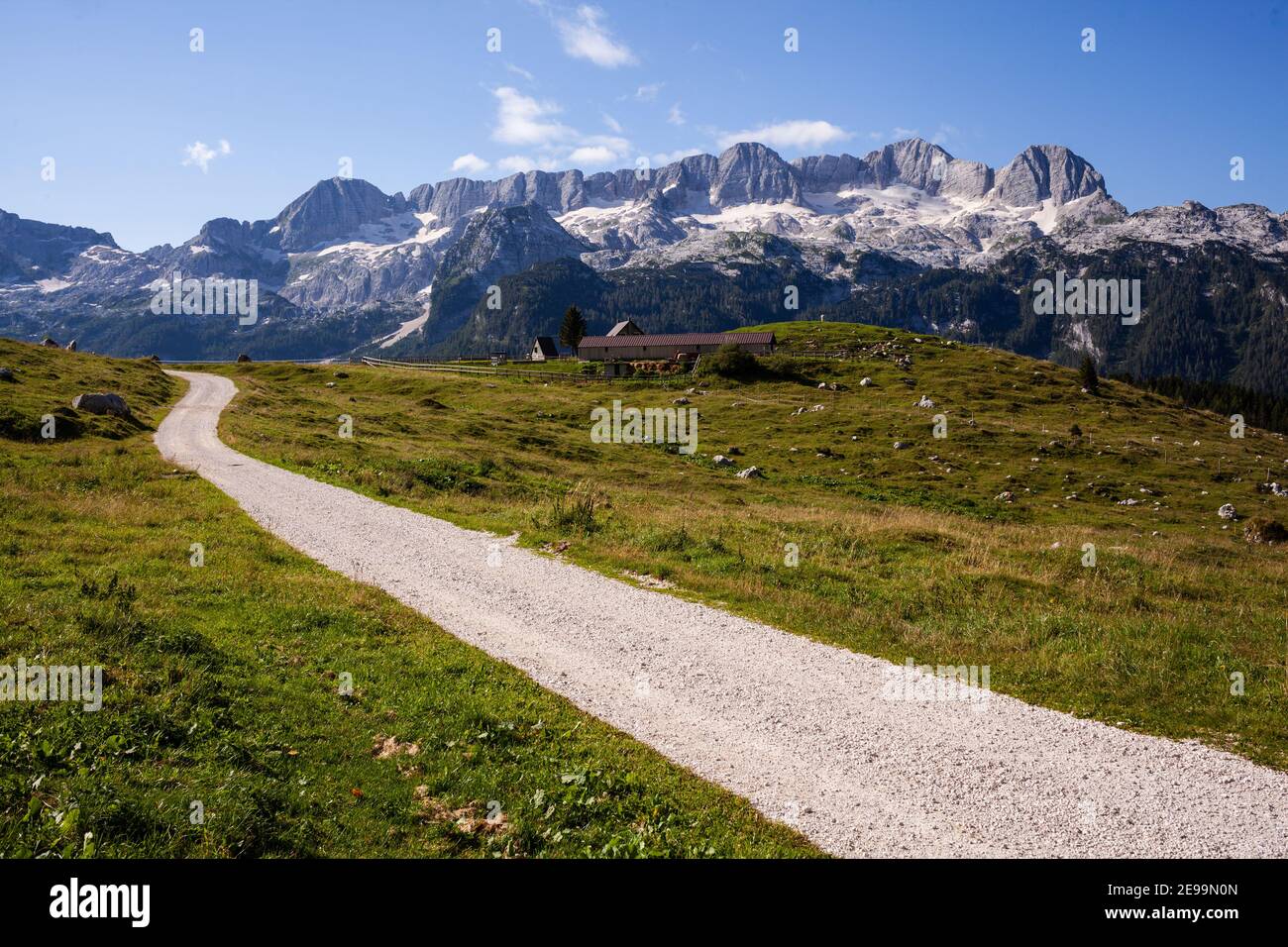 Vuota strada sterrata nelle Alpi con vista sulle montagne di Canin in lontananza e verdi pascoli con fienile al centro. Foto Stock