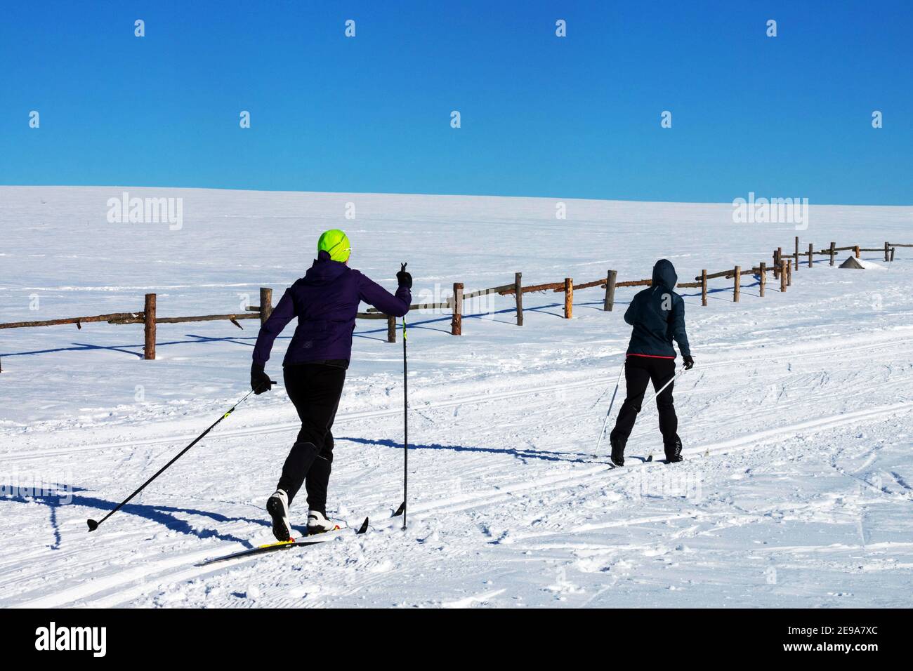 Due donne sci di fondo in pianura innevata scena invernale Foto Stock