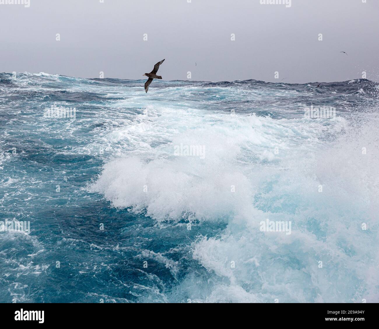 Alti venti occidentali costruiscono grandi onde nel passaggio Drake, Antartide. Foto Stock