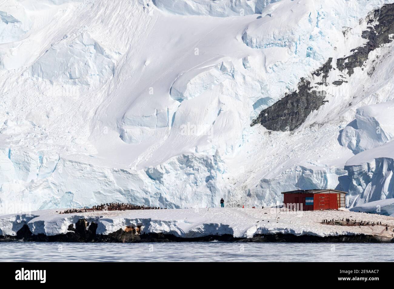 Rifugio argentino nel porto di Mikkelsen, Trinity Island, Antartide. Foto Stock