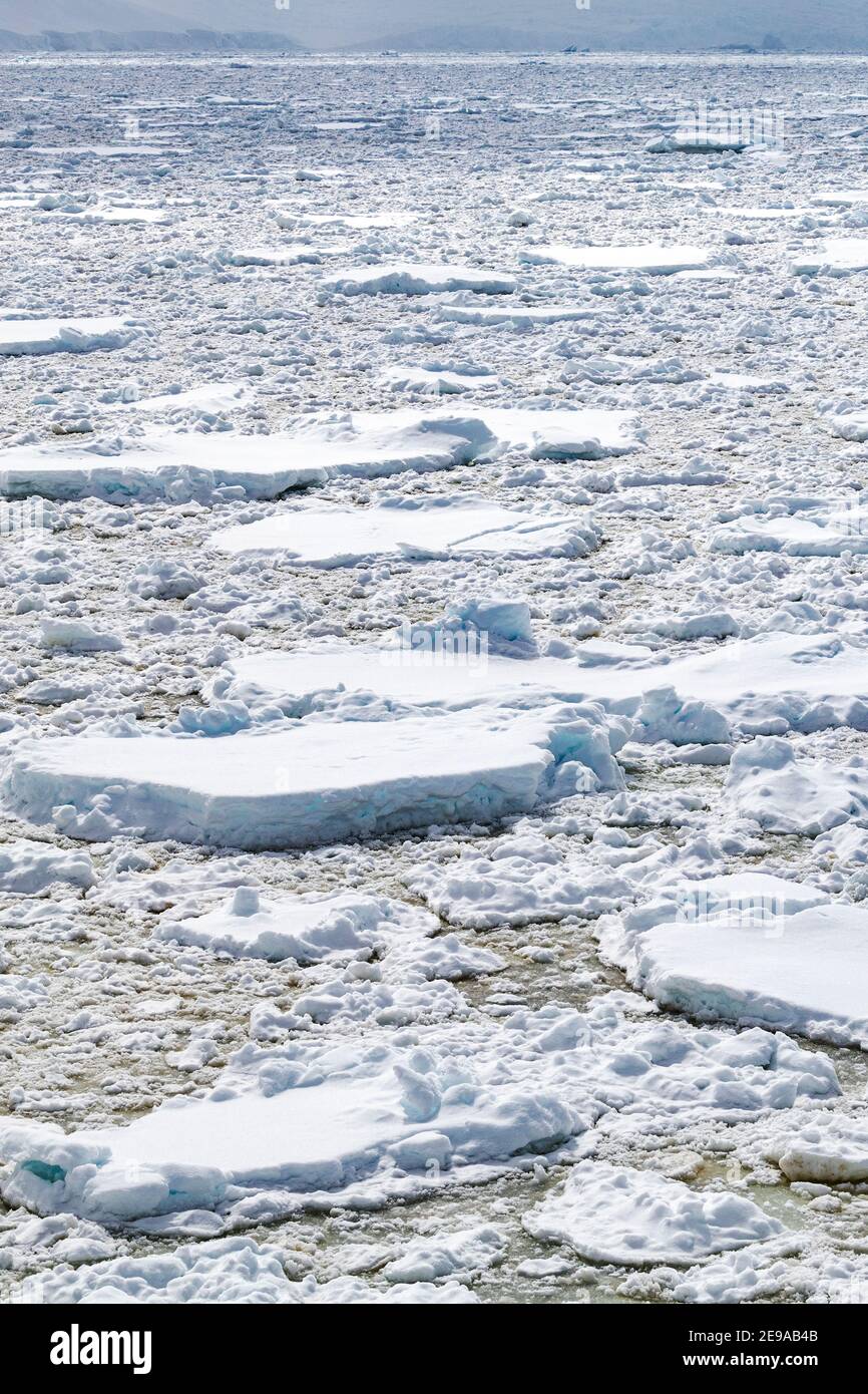 Mare denso e ghiaccio in impacco canale Neumayer, Arcipelago Palmer, Antartide. Foto Stock