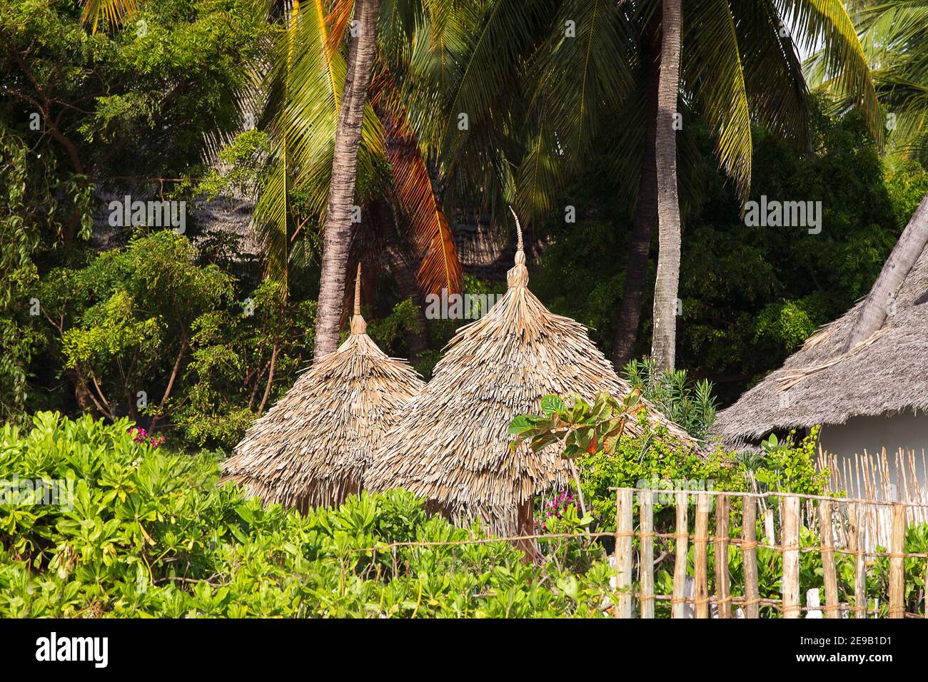 Tetto di paglia di capanna tropicale sotto palme. Dettaglio di capanne in paradiso resort. Zanzibar paesaggio esotico. Vacanze esotiche. Foto Stock