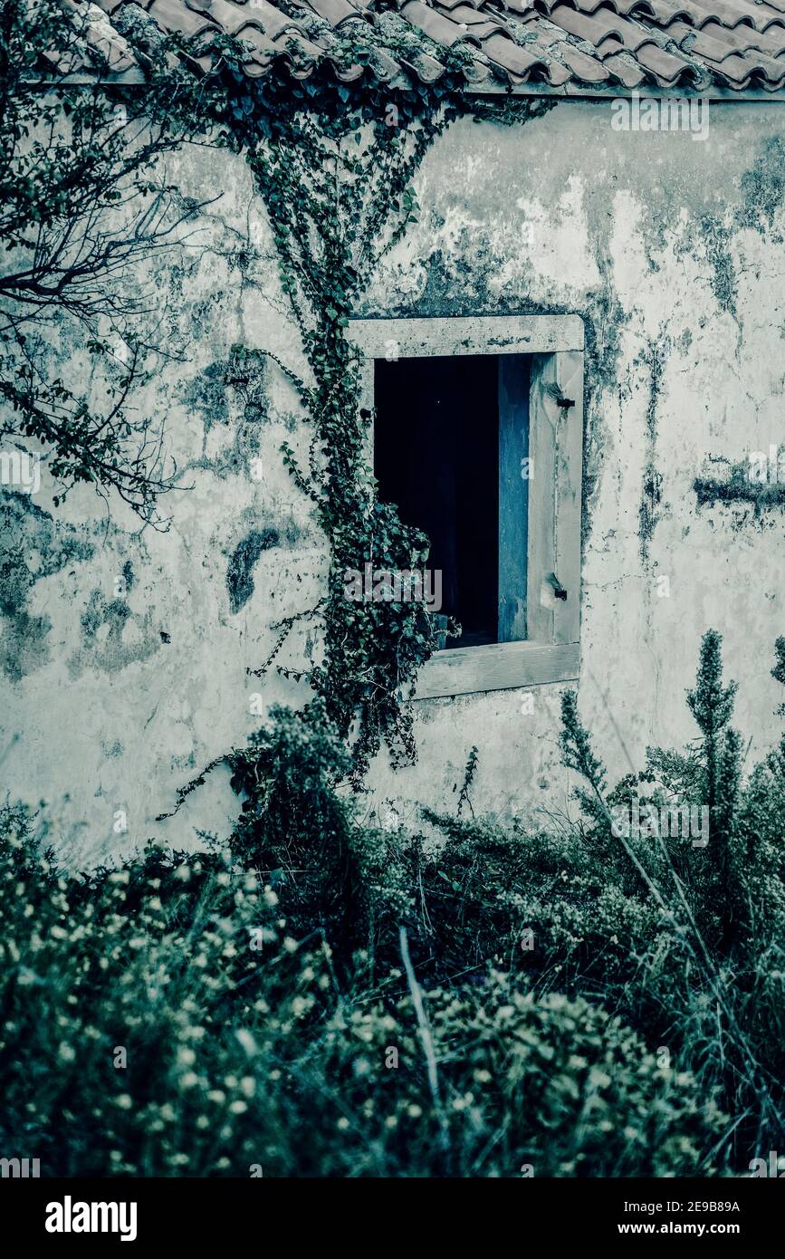 Casa abbandonata, Mali Iz, Isola di Iz, arcipelago di Zara, Dalmazia, Croazia Foto Stock
