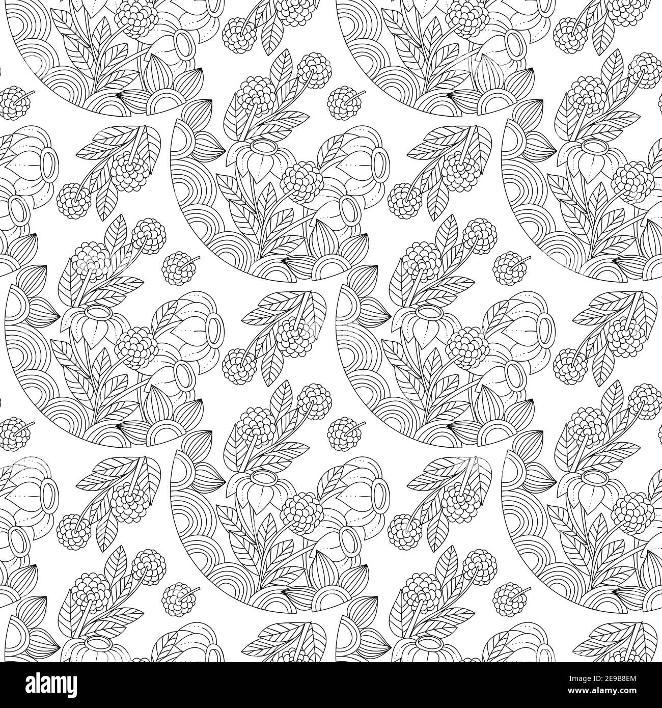 Motivo senza cuciture di fiori di doodle monocromatico per libro da colorare dell'adulto. Profilo floreale bianco e nero. Illustrazione dello schizzo vettoriale, stile disegnato a mano. Illustrazione Vettoriale