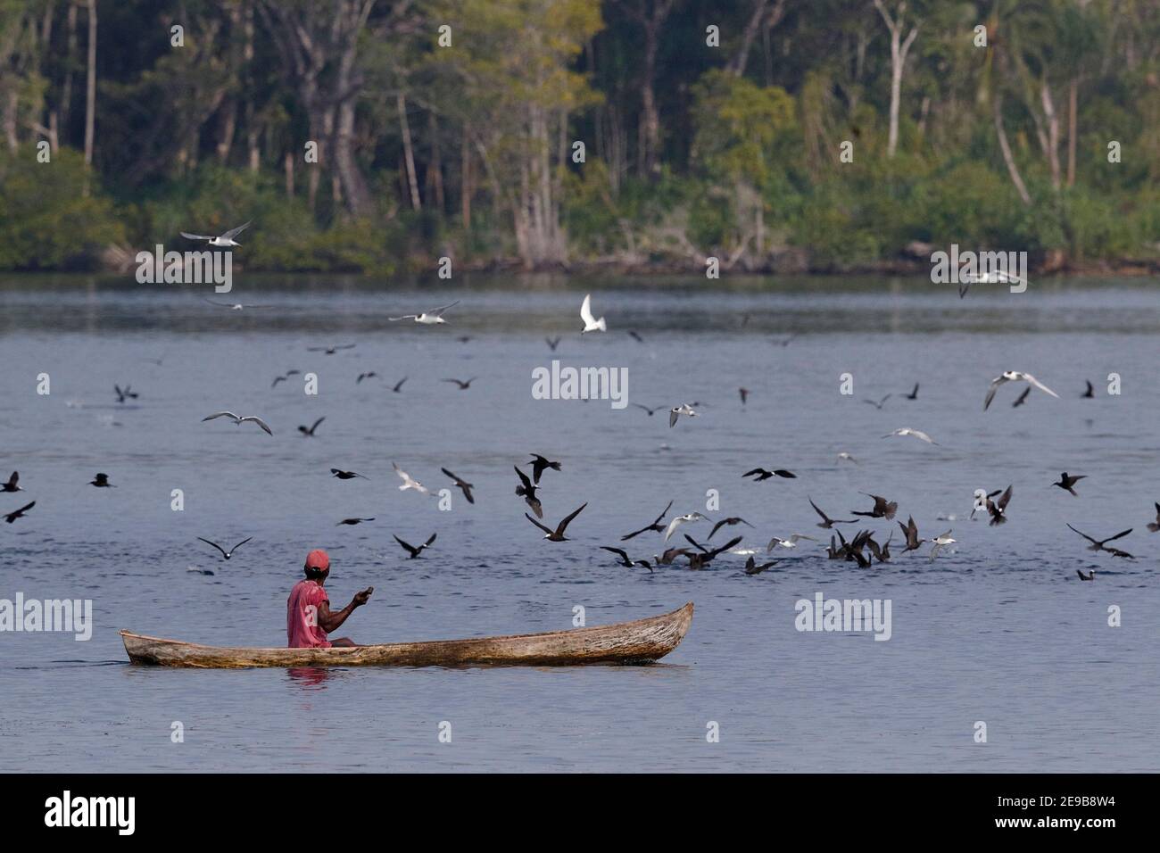 L'uomo in canoa scavata segue l'attività marina - segnando la presenza di pesci - nello stretto di Blackett, vicino a Kolombangara, Solomons 29 gennaio 2017 Foto Stock