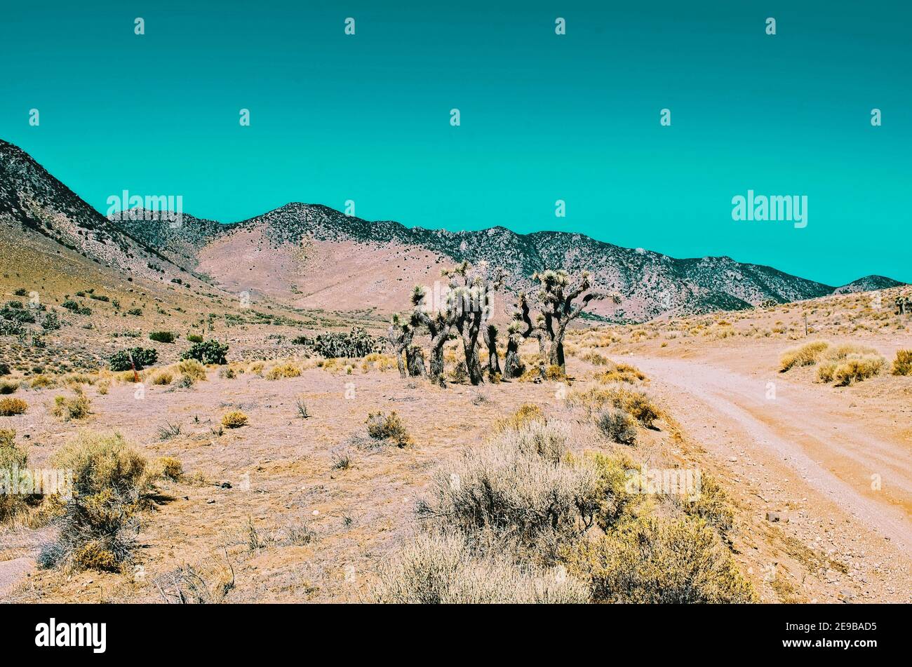 Solitaria strada sterrata del deserto che conduce verso le montagne aride oltre sotto il cielo azzurro. Foto Stock