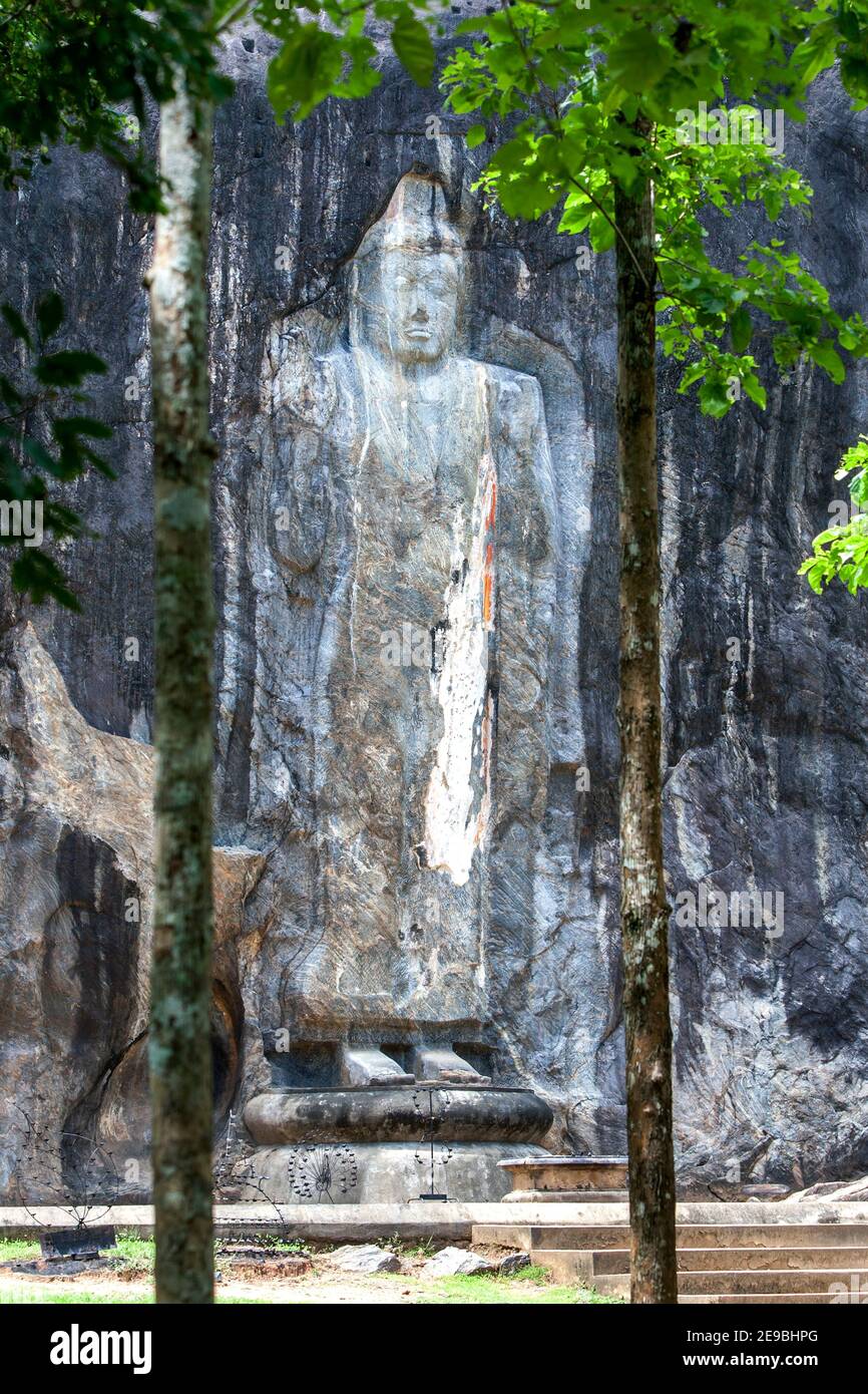 La pietra di 15 metri scolpita in piedi statua del Buddha a Buduruwagala. Questa è la statua del Buddha più alta dello Sri Lanka. Foto Stock
