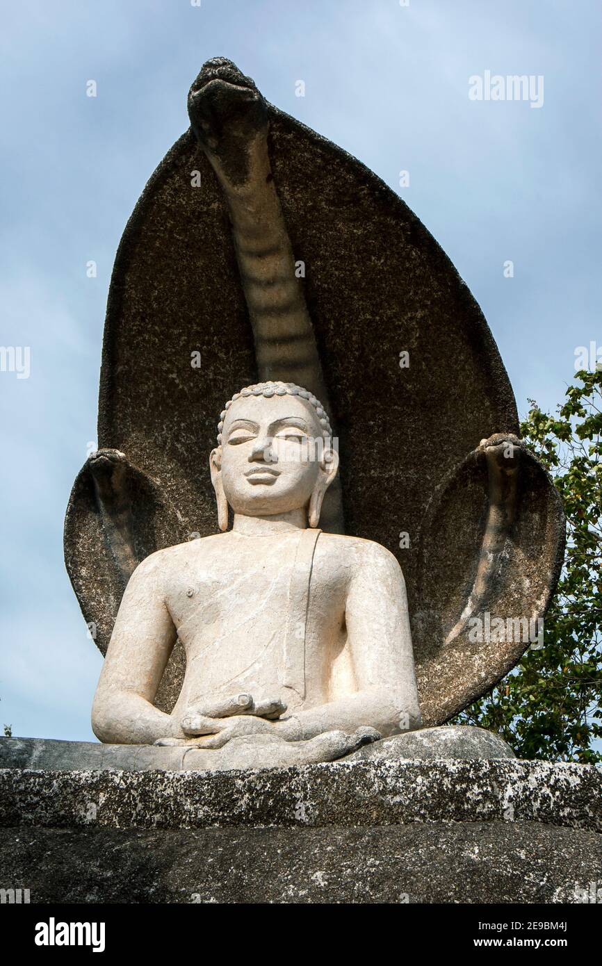 La statua del Buddha splendidamente progettata con ombrello Cobra nel villaggio di Pidurangala vicino a Sigiriya nel centro dello Sri Lanka. Il corpo delle cobra forma la base. Foto Stock