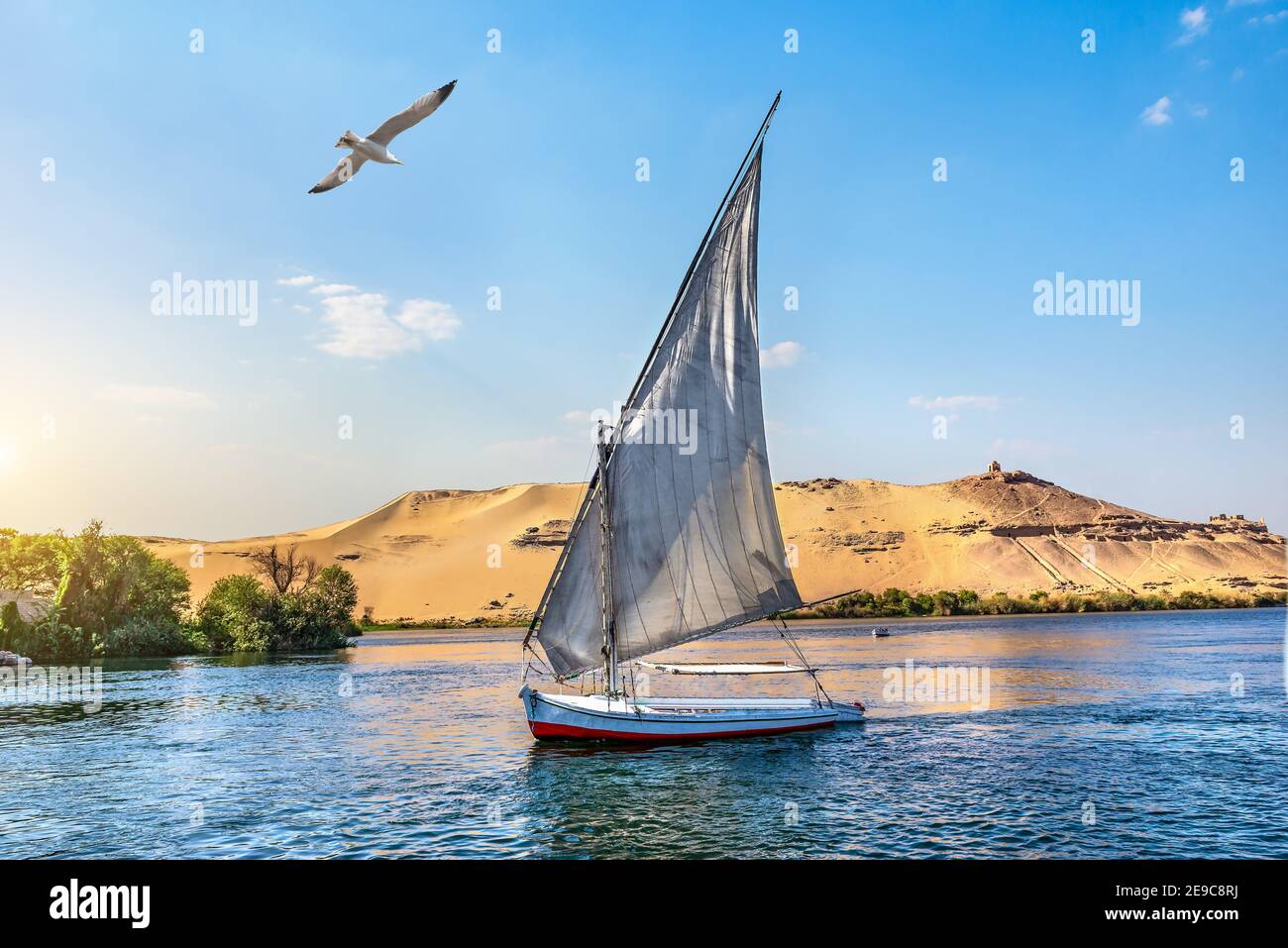 Seagull in barca a vela sul fiume Nilo ad Assuan al tramonto, Egitto. Foto Stock