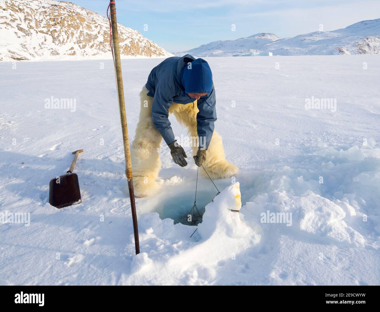 Raccogliere un sigillo da una trappola sotto il ghiaccio marino. Cacciatore inuit con pantaloni e stivali tradizionali realizzati in pelliccia di orso polare, vicino a Melville Bay Foto Stock