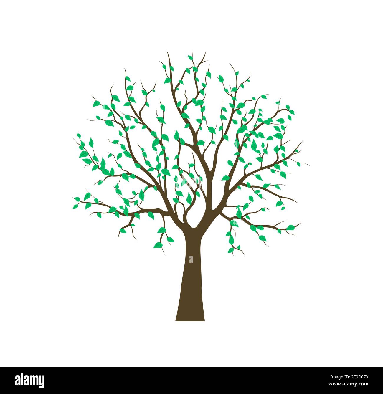 Stampa ad albero, legno verde organico. Illustrazione vettoriale Illustrazione Vettoriale