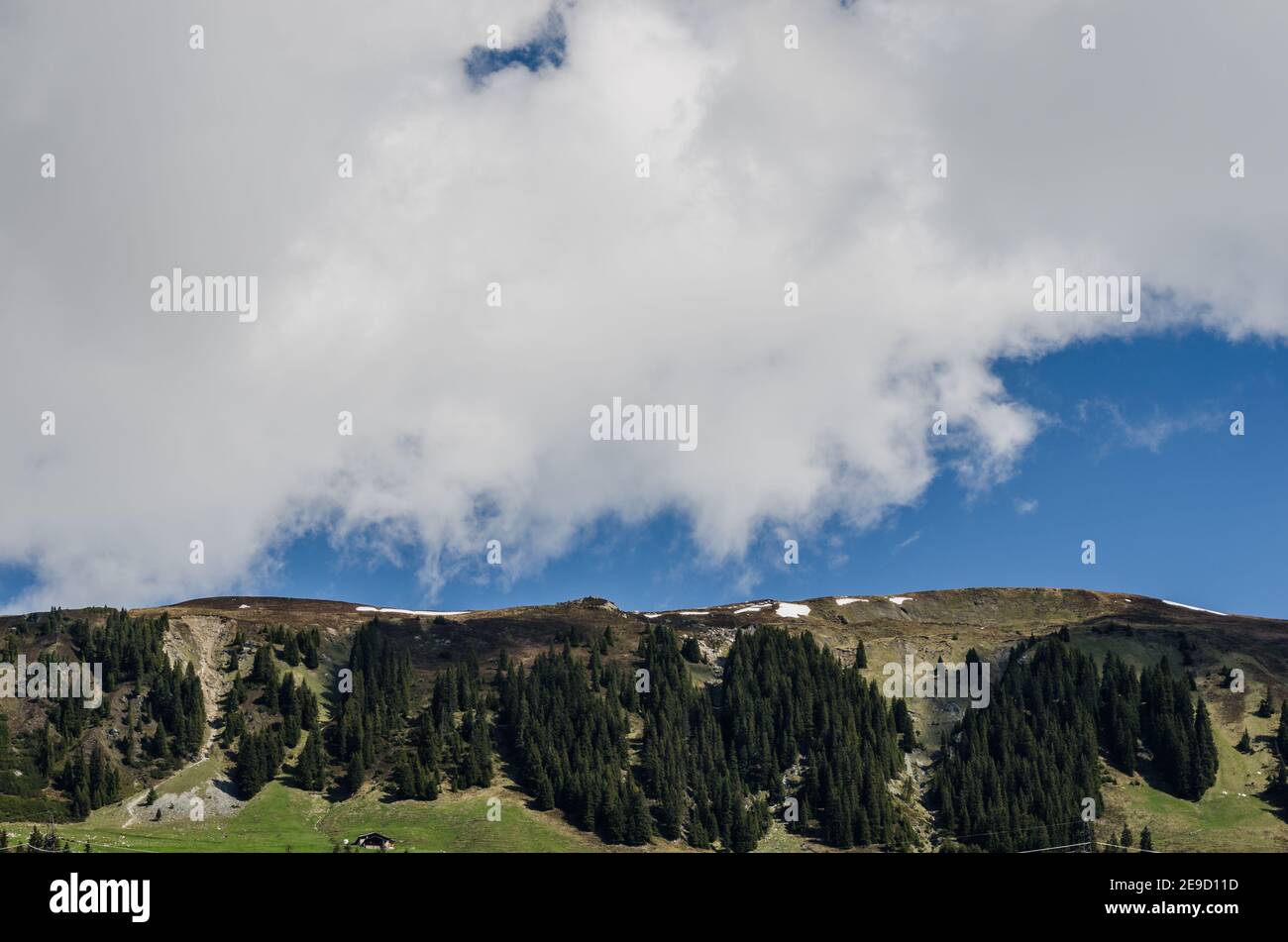 montagna pianeggiante con alberi e fitte nuvole Foto Stock