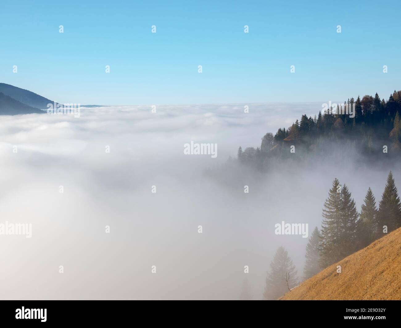 Vista dal Monte Hoernle su un mare di nebbia che nasconde i piedi delle Alpi Bavaresi. alpi Bavaresi nei pressi di Unterammergau nel Werdenfelser Land (Werden Foto Stock