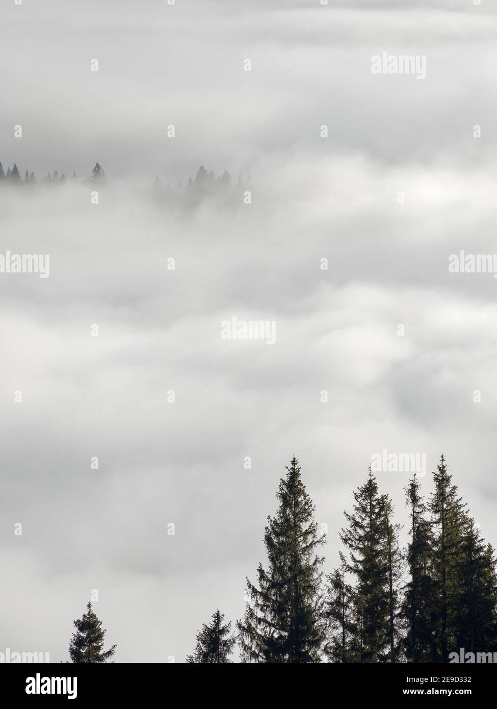 Mare di nebbia sulla valle del fiume Ammer. alpi Bavaresi nei pressi di Unterammergau, nella regione di Werdenfelser (contea di Werdenfels). Europa, Germania, Baviera Foto Stock