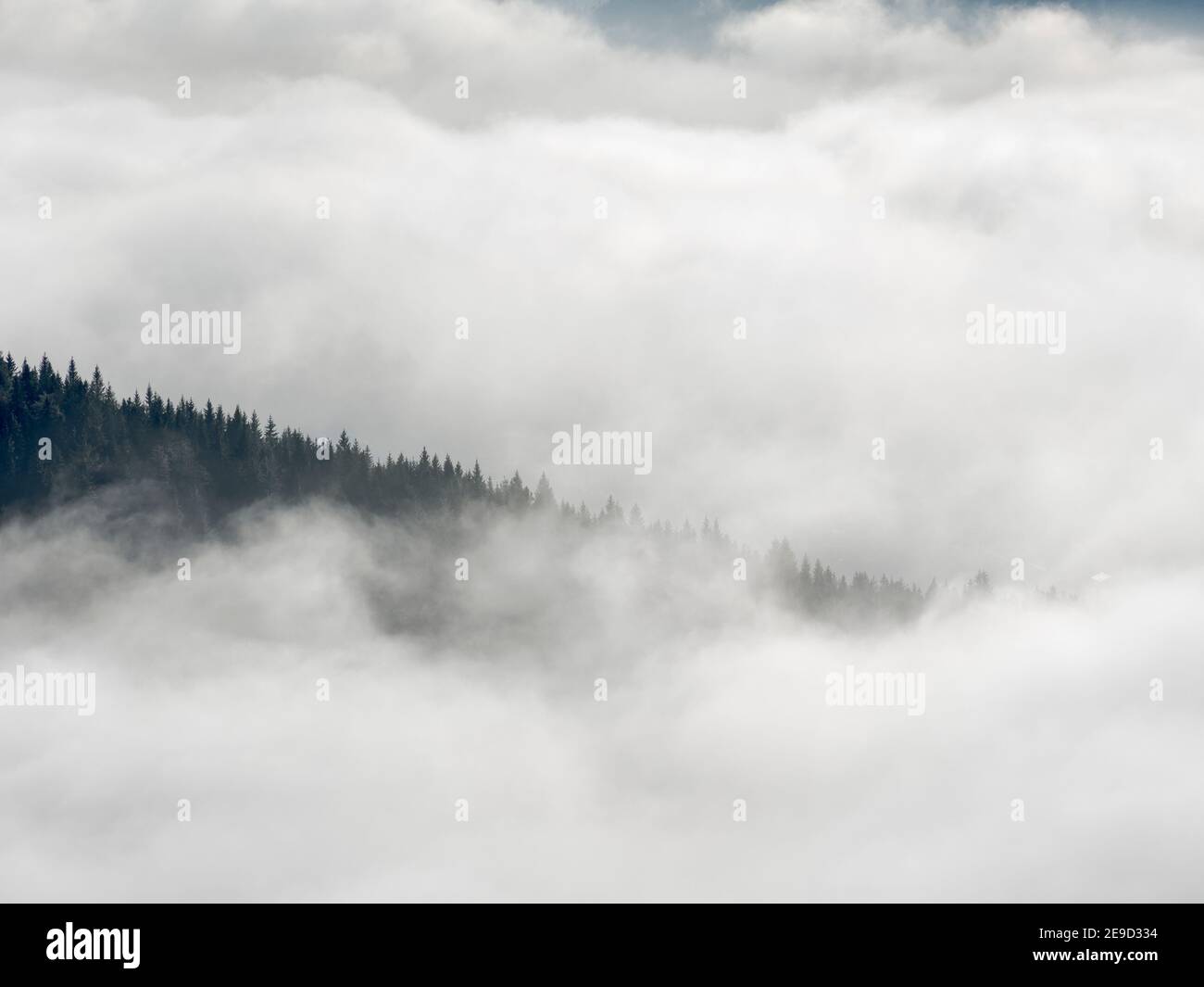Mare di nebbia sulla valle del fiume Ammer. alpi Bavaresi nei pressi di Unterammergau, nella regione di Werdenfelser (contea di Werdenfels). Europa, Germania, Baviera Foto Stock