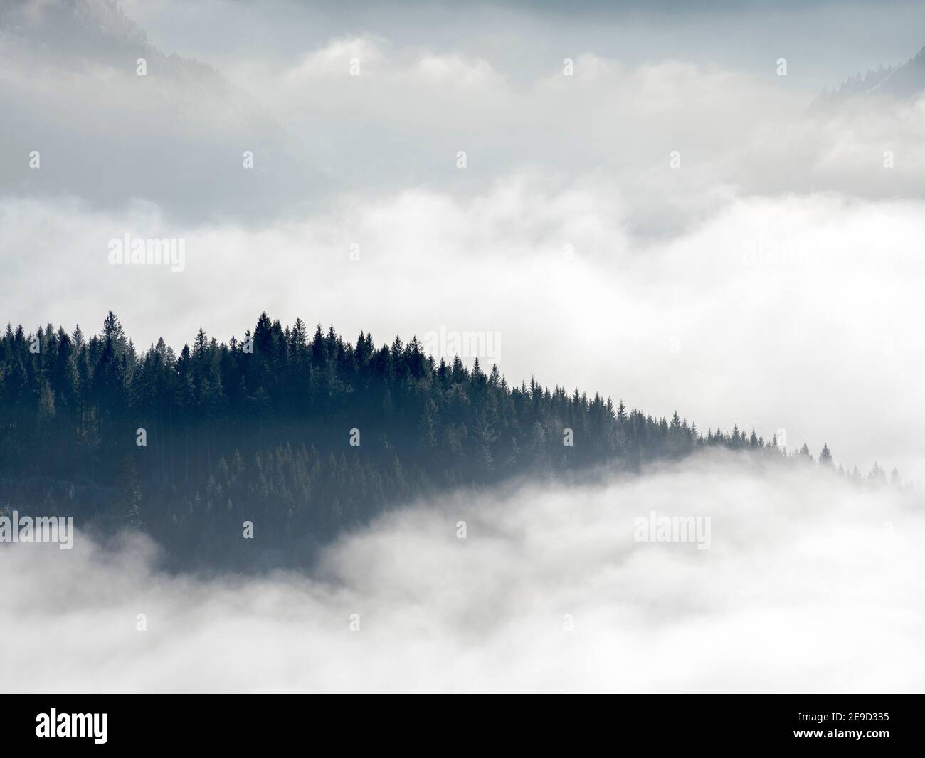 Mare di nebbia sulla valle del fiume Ammer. alpi Bavaresi nei pressi di Unterammergau, nella regione di Werdenfelser (contea di Werdenfels). Europa, Germania, Baviera Foto Stock
