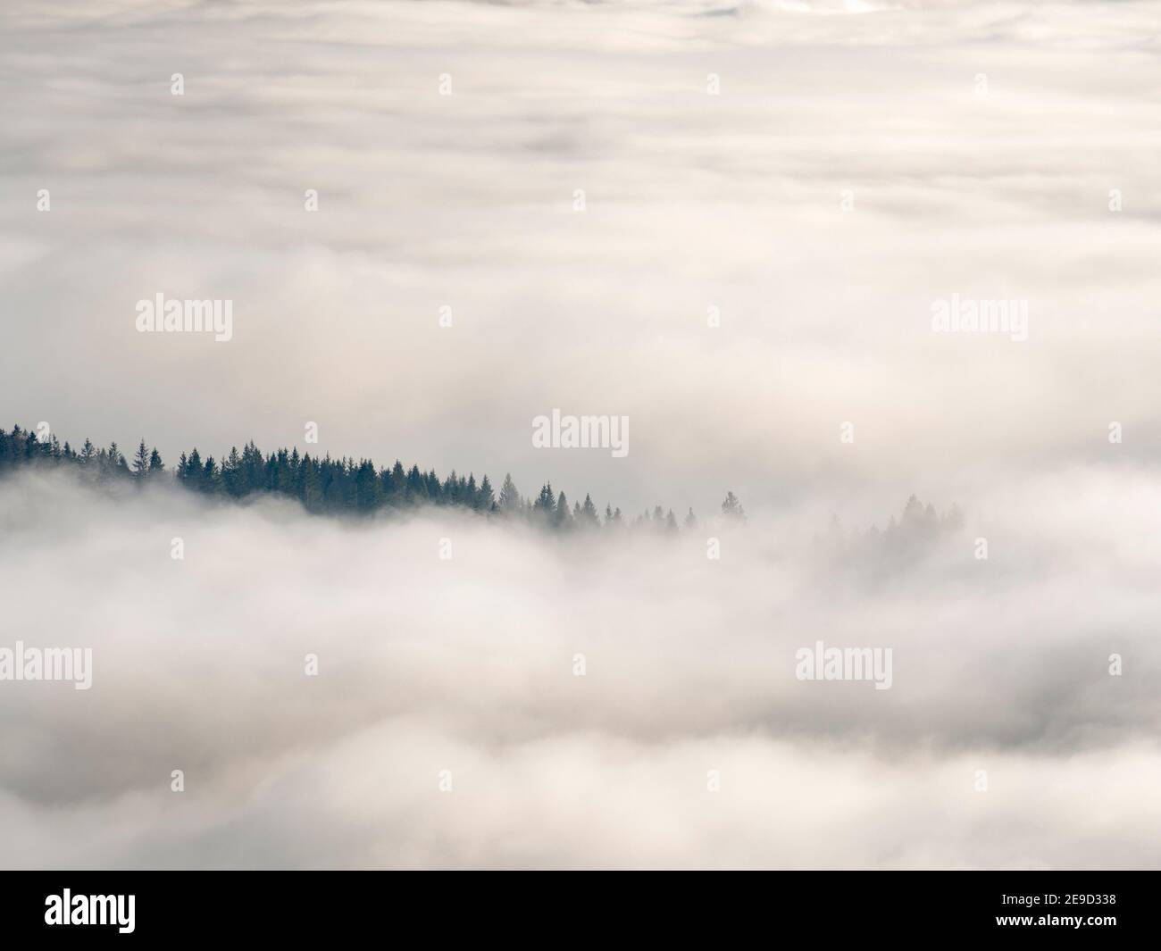 Mare di nebbia sulla valle del fiume Ammer. alpi Bavaresi nei pressi di Unterammergau, nella regione di Werdenfelser (contea di Werdenfels). Europa, Germania, Baviera Foto Stock