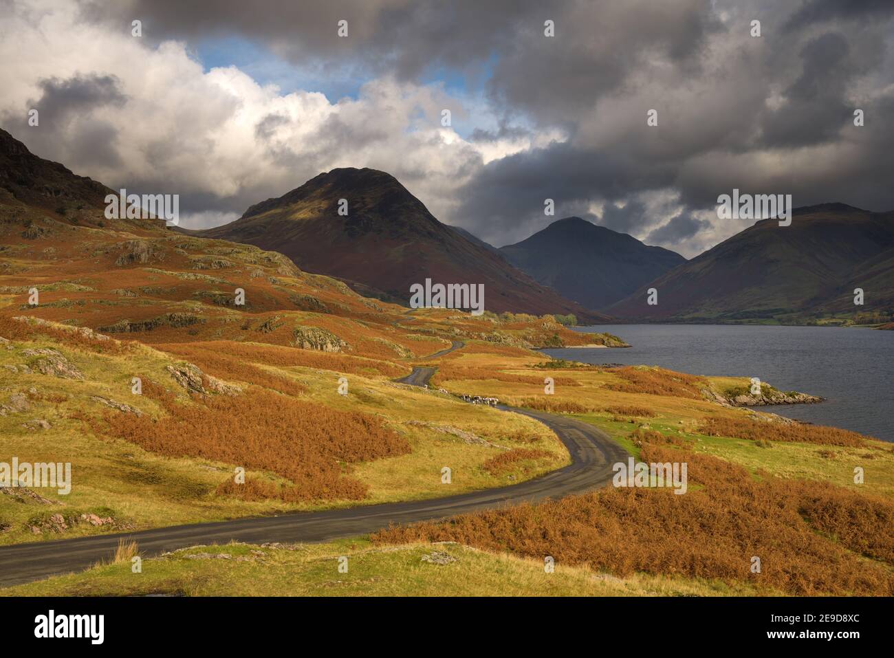 Vista di Wastwater nel Lake District su un pomeriggio d'autunno nuvoloso con strada singola che conduce attraverso il paesaggio. Foto Stock