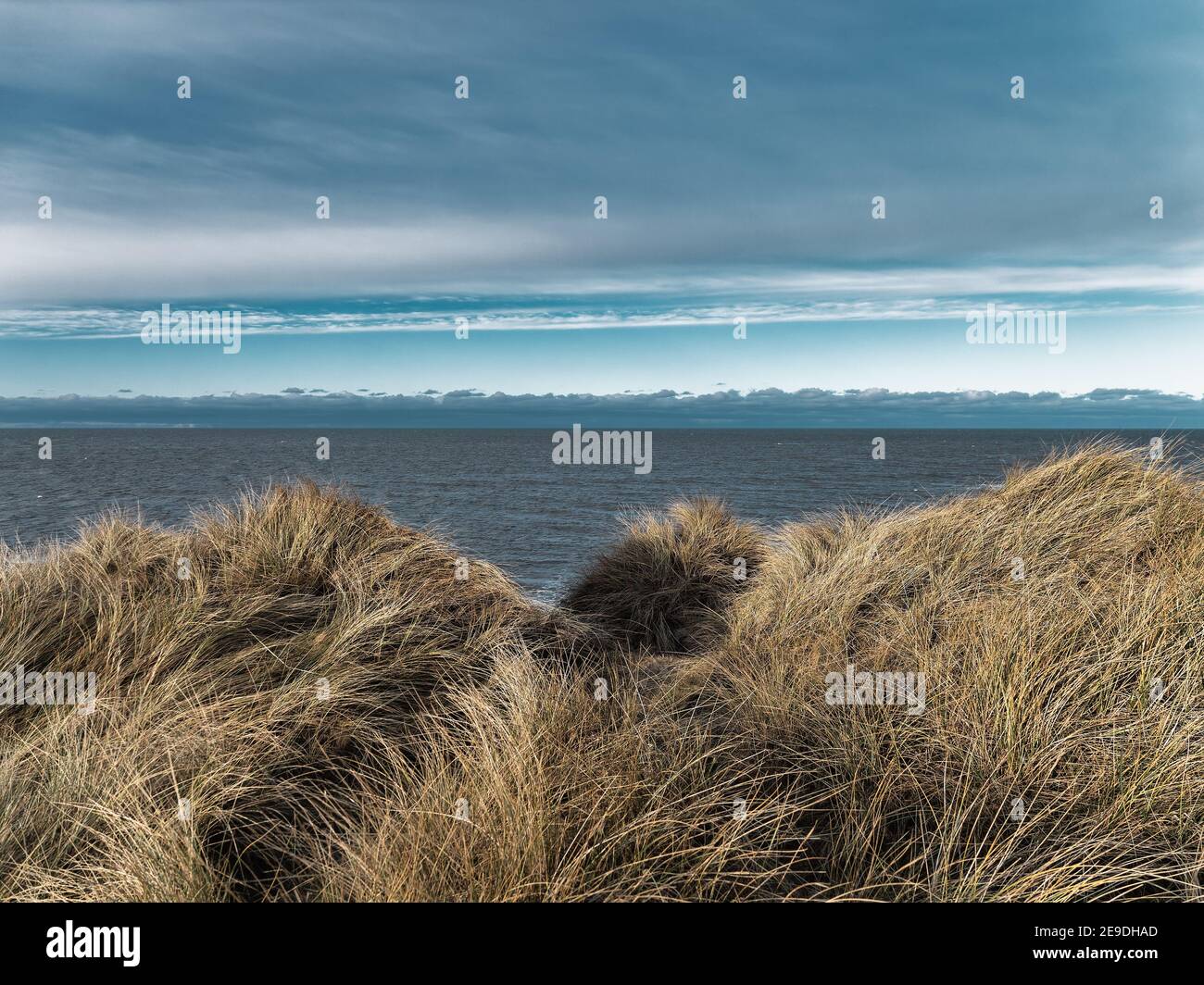 Dune sulla costa del Mare del Nord nella campagna danese Foto Stock