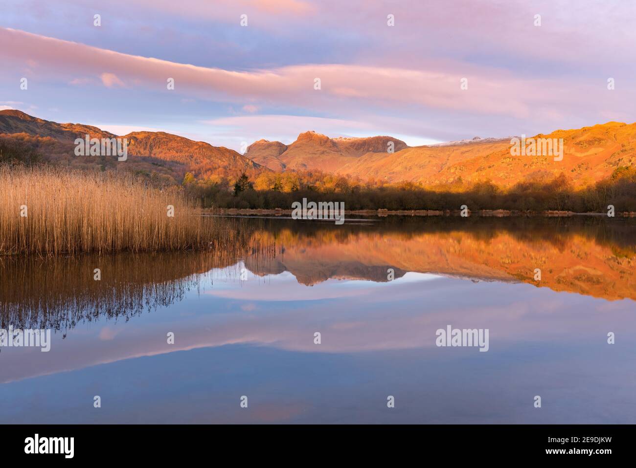 Riflessi specchiati in un lago calmo con luce dorata dall'alba sulle cime delle montagne. Elterwater, Lake District, Regno Unito. Foto Stock