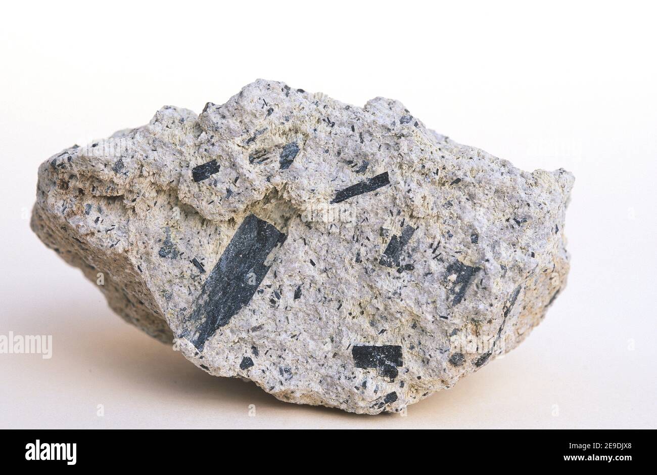 L'andesite è una roccia vulcanica di composizione intermedia. Questo campione ha una struttura porfiritica con grandi cristalli di plagioclasi. Questo campione viene a. Foto Stock