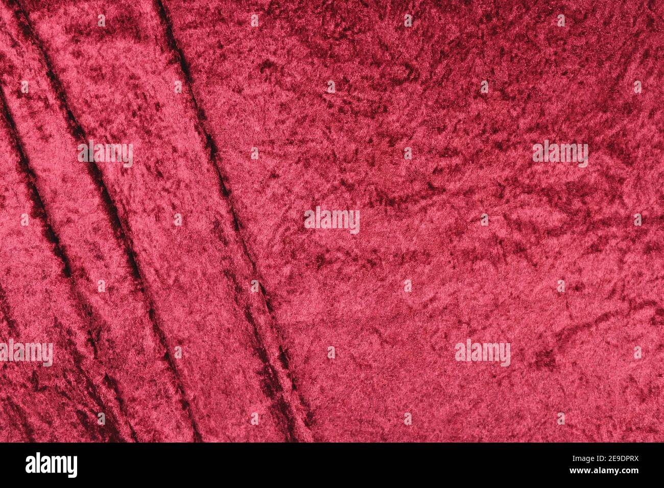 adanson monstera, aracee, botanica, botanica, superriduttore, decorazione, decorativa, esotica, pianta a cinque buche, vaso di fiori, fogliame, insalata di frutta pianta, pieno Foto Stock