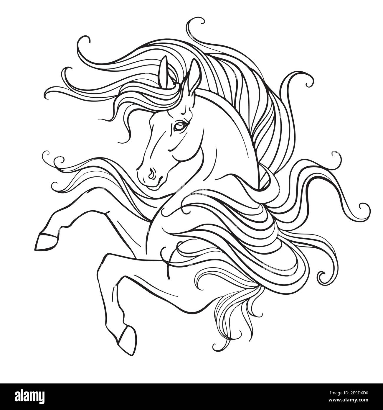 Bella unicorno con una lunga mane. Immagine vettoriale in bianco e nero del contorno per la colorazione della pagina. Per la progettazione di stampe, poster, cartoline, colori Illustrazione Vettoriale